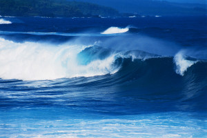 Waves Breaking Near Shore Hawaii, USA